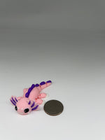 axolotl