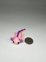 axolotl