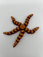 StarFish