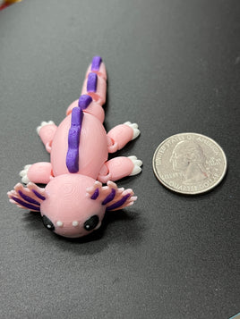 axolotl